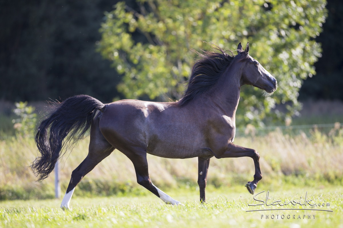 twh_baby818379 twh_baby818379
